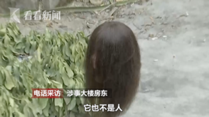 女子开窗看热闹 整楼窗边都是脑袋