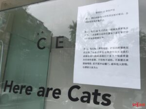 宠物店主回应离开半月猫狗被饿死