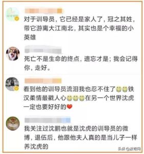 震区男子微笑受访下一秒泪崩了