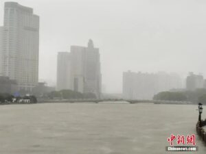 台风梅花登陆：狂风大作 暴雨横飞