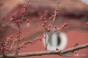 台风“梅花”逼近青岛：开车如划船