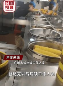 官方回应餐厅里老鼠在包子旁理毛