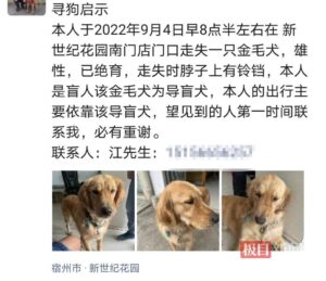 申请了3年才领到的导盲犬被顺走