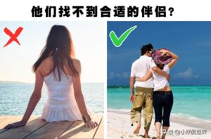 丁克家族是什么_丁克家族是什么意思