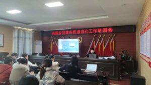 念好“四字诀”，扎实推进党建信息化平台建设