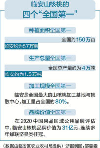 全产业链产值达到50亿元 看一颗临安山核桃的雄心