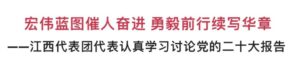 江西代表团代表认真学习讨论党的二十大报告