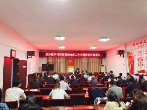 双林镇召开学习宣传贯彻党的二十大精神动员部署会