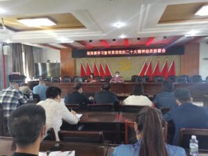 湖泽镇召开学习宣传贯彻党的二十大精神动员部署会