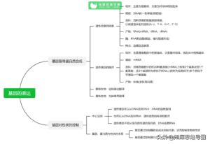 高中生物知识点总结_高中生物思维导图