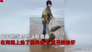 烟台海肠爆发 有人一晚捞上千斤