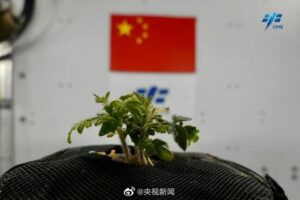 神十四航天员发回国旗同框照