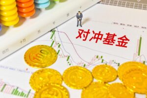 对冲基金什么意思_什么叫对冲基金