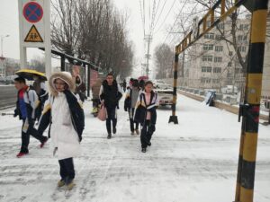 实拍辽宁多地大雪纷飞