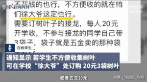 一中学收学生20元树叶费 教育局回应