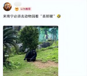 南宁动物园回应动物“不正经”