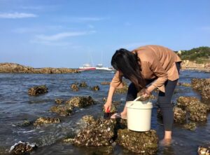 烟台海边出现大量泸沽虾