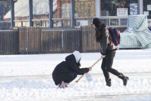 实拍辽宁多地大雪纷飞