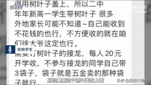 一中学收学生20元树叶费 教育局回应