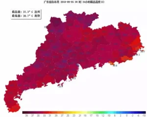 冷雨夜男子怕违章高速上抛下妻子