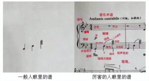 音乐入门先学什么_音乐入门简单识谱