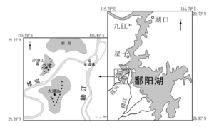 鄱阳湖再次跌破历史最低水位