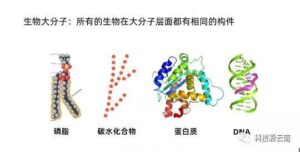 生物有哪些多样性_什么是生物多样性