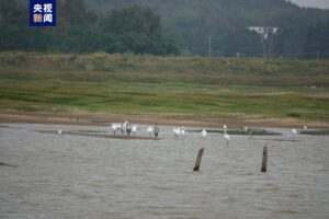 鄱阳湖再次跌破历史最低水位