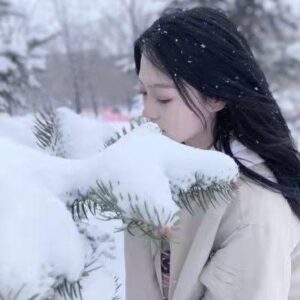 适合雪景的配文_适合雪景的文案