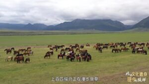 焉支山，骏马驰骋今犹酣