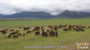 焉支山，骏马驰骋今犹酣