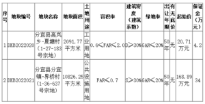 网上拍卖！我县2块国有建设用地使用权出让~