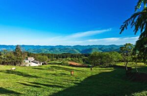 重庆仙女山自由行攻略_重庆仙女山旅游攻略