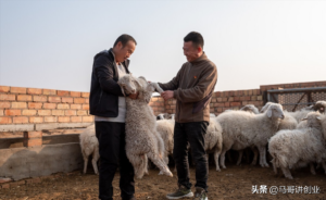 在农村做什么生意好_农村致富好项目