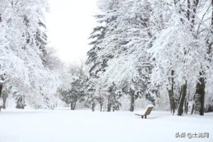 立春后的雪有什么说法_立春后下雪民间的说法