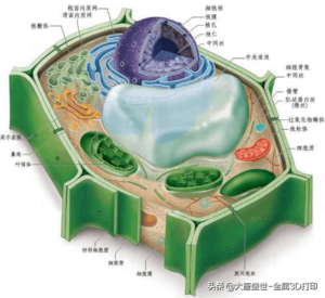 3D打印有哪些材料_常见3D打印材料介绍