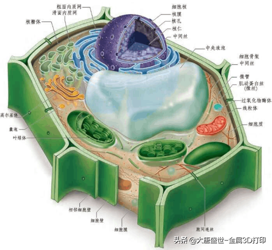 3d打印材料有什么特点_常见3D打印材料介绍