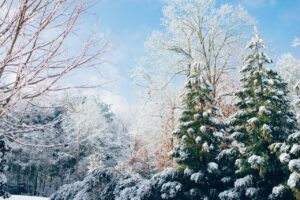 咏雪诗词有哪些_16首经典咏雪诗词