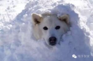 地暖系统为什么要防冻_如何进行地暖系统防冻