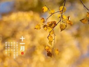 11月祝福的句子_11月极简文案