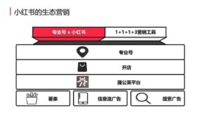 如何入小红书营销_小红书的生态营销