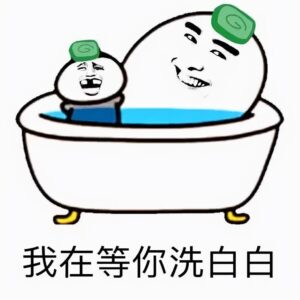 洗白是什么意思_洗白怎么理解