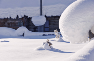 下雪天最深情的诗句有哪些_下雪天最深情的古诗