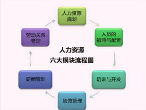 人力资源有哪六大板块_六大模块具体内容