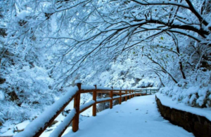 下雪天最深情的诗句有哪些_下雪天最深情的古诗