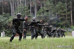 武警和特警一样吗_武警和特警的区别