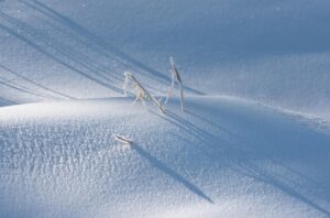 咏雪诗词有哪些_16首经典咏雪诗词