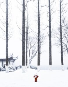 咏雪诗词有哪些_16首经典咏雪诗词