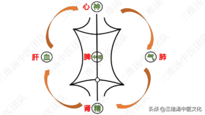 人体气化是什么意思_人体气化是怎么回事