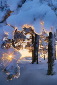 下雪天最深情的诗句有哪些_下雪天最深情的古诗